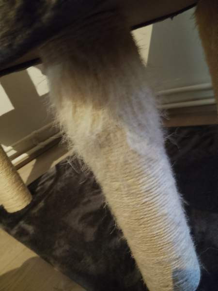 Kissan raapimapuu VARATTU Lahti - photo 2