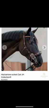 Ruskeat x full hackamoresuitset Humppila