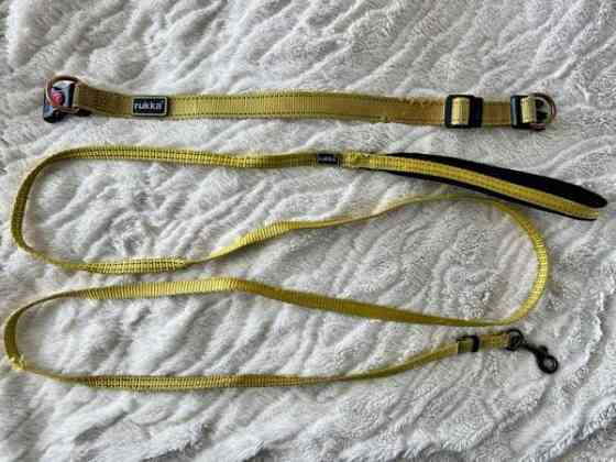 Rukka kaulapanta ja talutushinta / S Kuopio