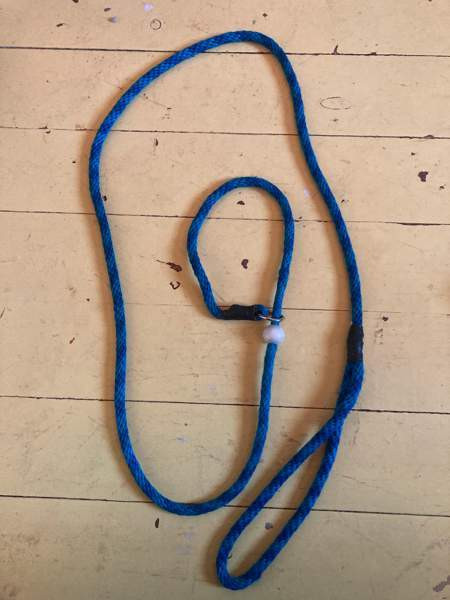 Noutajahihna Kuopio - valokuva 1