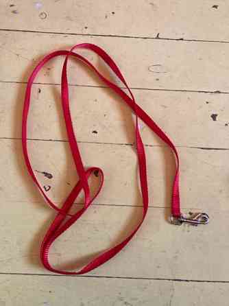 Punainen naru Kuopio