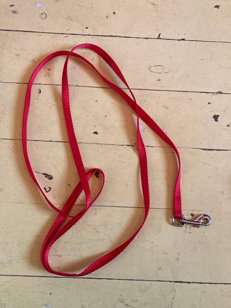 Punainen naru Kuopio – foto 1