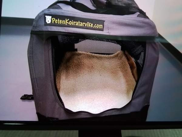 Pienen koiran kevythäkki Liminka - valokuva 2