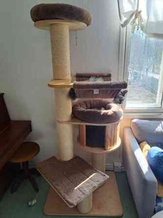 Kissan korkea kiipeilypuu Tuusula