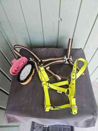 Hevostarvikkeita Haapavesi