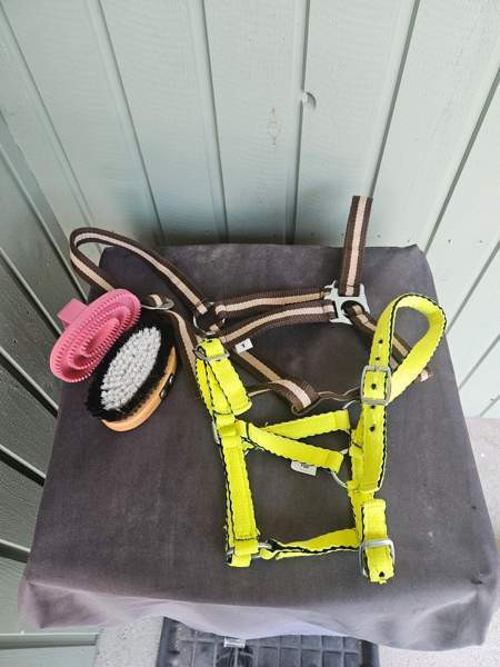 Hevostarvikkeita Haapavesi - valokuva 1