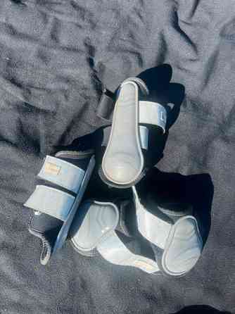 Ratsun suojasettejä Куопио