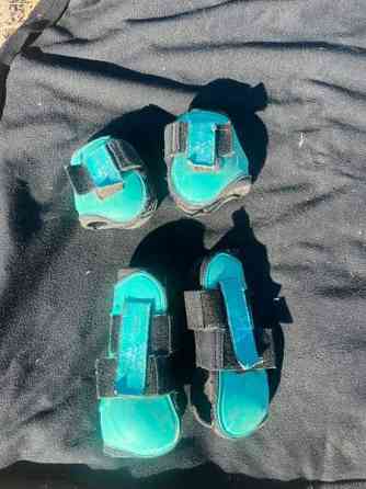 Ratsun suojasettejä Куопио