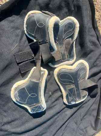 Ratsun suojasettejä Куопио