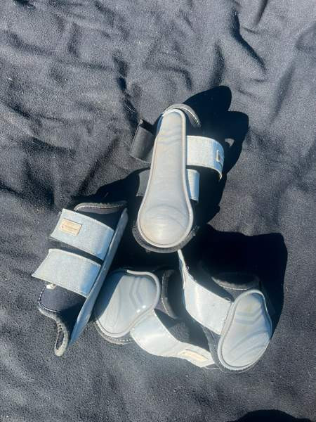 Ratsun suojasettejä Kuopio - photo 3