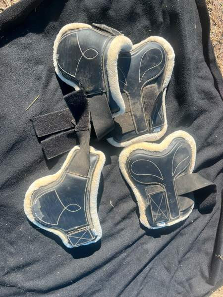 Ratsun suojasettejä Kuopio - photo 1