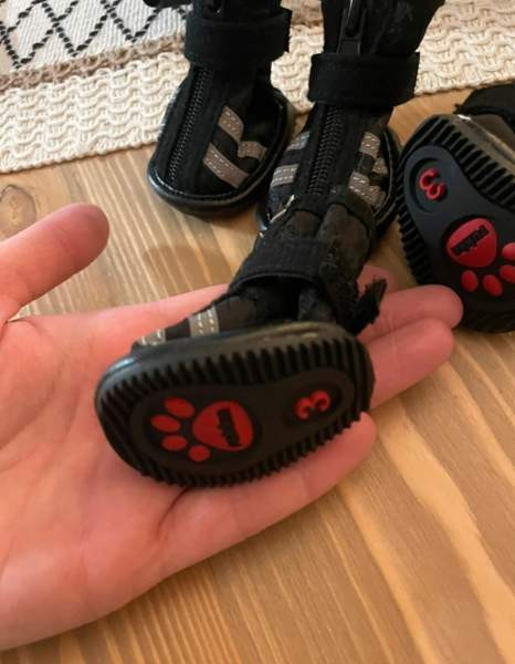 Uudet rukka step koiran tossut Joensuu – foto 3