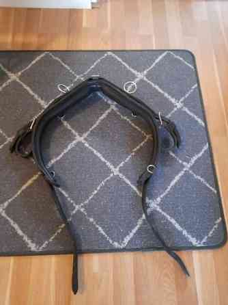 Kuolaimet ja tekkeli Kajaani