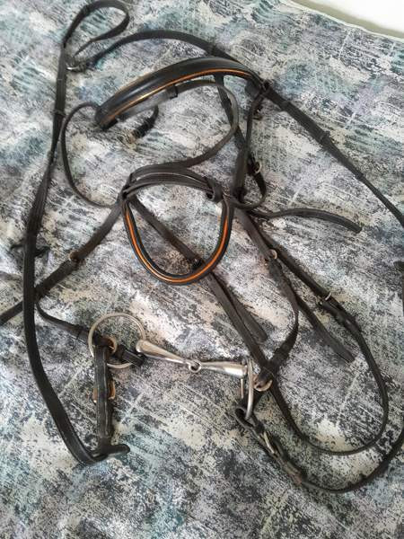 Suitset ohjaksilla Taipalsaari - valokuva 1