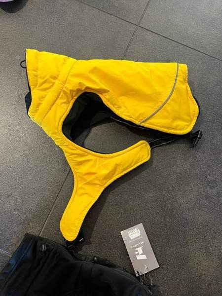 Koiralle takkeja Jyvaeskylae – foto 2