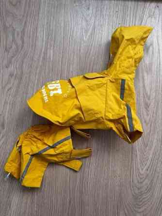 Koiran sädevaatteet Siilinjaervi