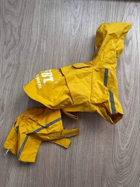 Koiran sädevaatteet Siilinjaervi – foto 1