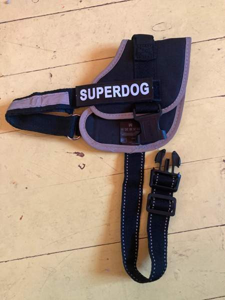 Zoofari -valjaat koko M Kuopio - valokuva 2