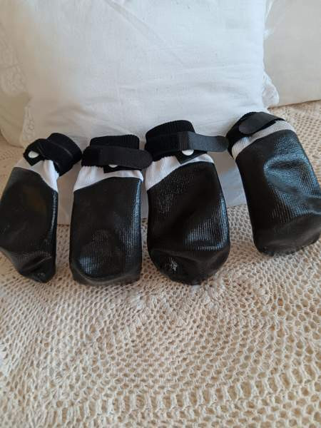 Koiran rukka tossut Tuusula – foto 2