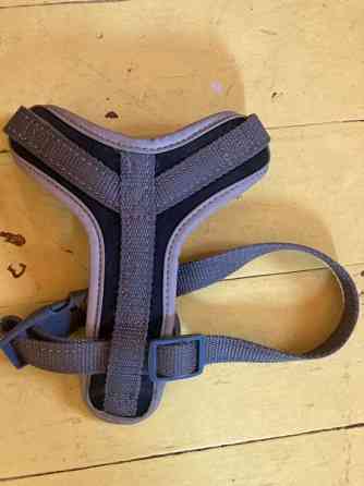 Best Friend -valjaat koko xs Kuopio