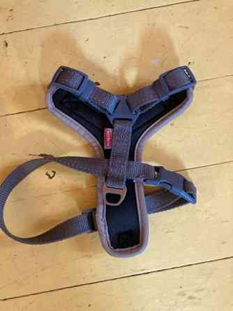 Best Friend -valjaat koko xs Kuopio