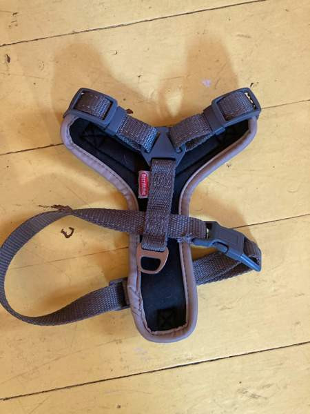 Best Friend -valjaat koko xs Kuopio – foto 1