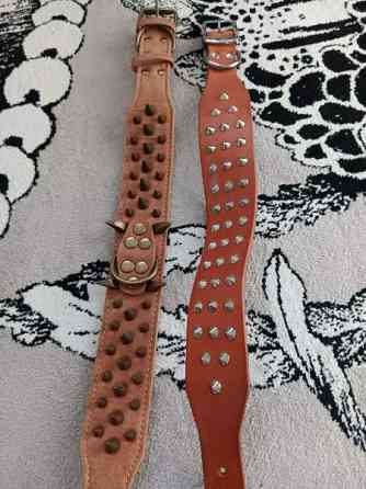 Ison koiran niittipannat Tuusula