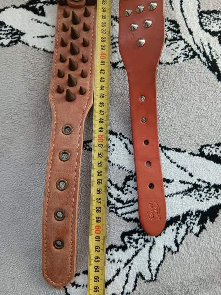 Ison koiran niittipannat Tuusula - valokuva 3