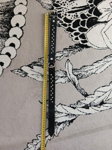 Ison koiran niittipannat Tuusula - valokuva 6