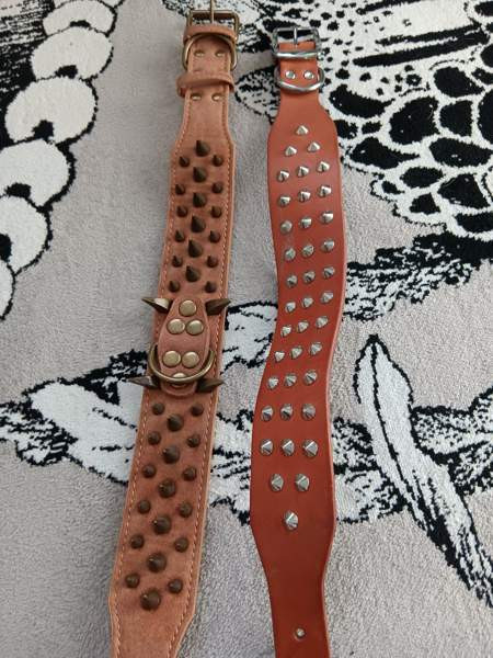 Ison koiran niittipannat Tuusula - valokuva 1