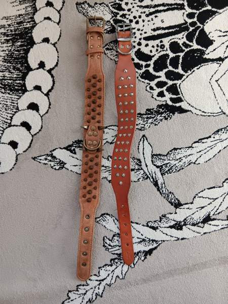 Ison koiran niittipannat Tuusula - valokuva 2