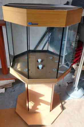 Terraario Riihimaeki