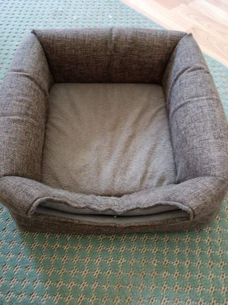 Kissan peti/pesä. Lahti - valokuva 3