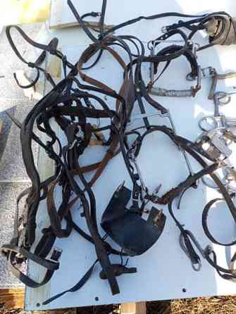 Ravivarusteita Liminka