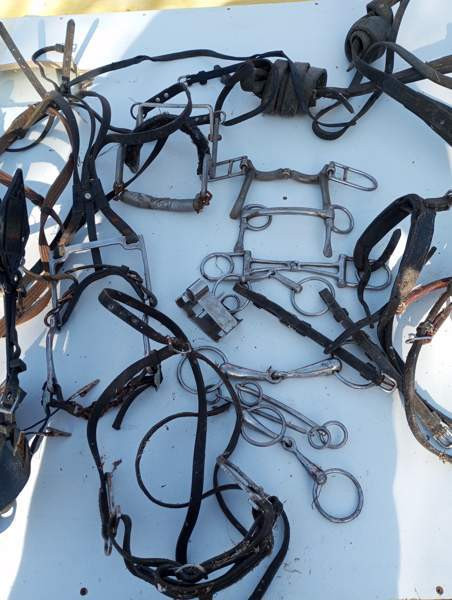 Ravivarusteita Liminka – foto 3