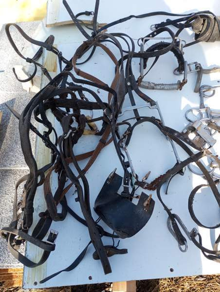 Ravivarusteita Liminka – foto 4