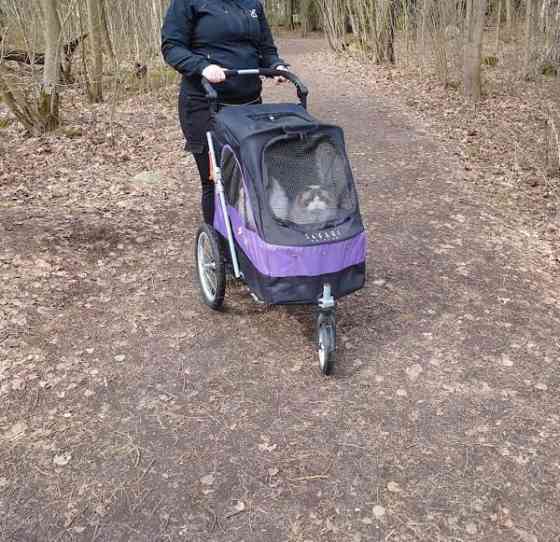 Petstro pöytärattaat Helsinki