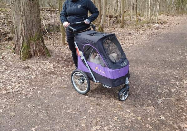 Petstro pöytärattaat Helsinki - valokuva 2