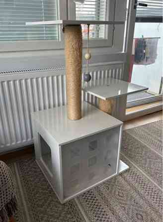 Kissan raapimispuu Helsinki