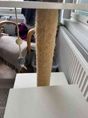 Kissan raapimispuu Helsinki