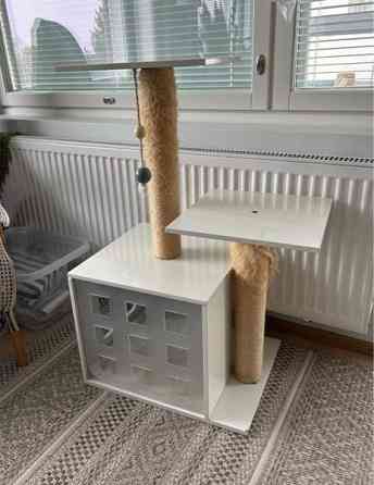 Kissan raapimispuu Helsinki