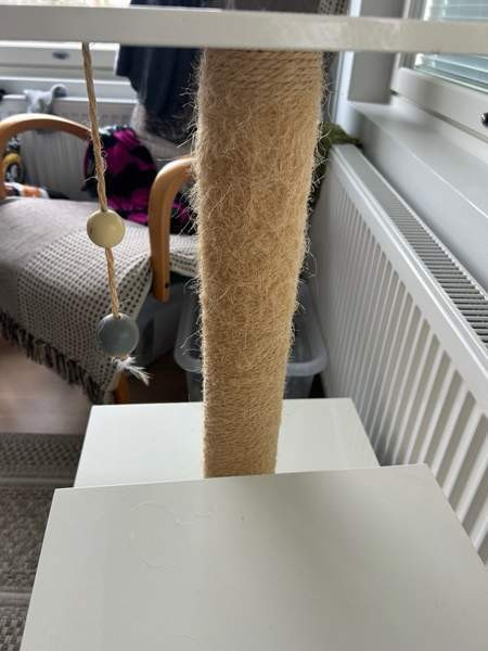 Kissan raapimispuu Helsinki – foto 4