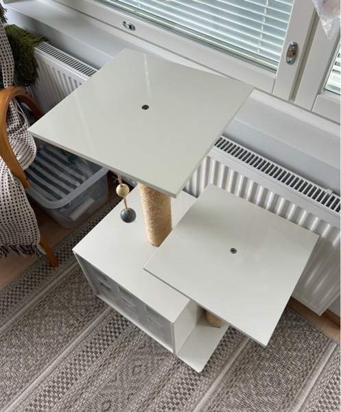 Kissan raapimispuu Helsinki – foto 3