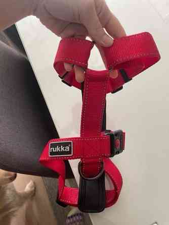 Punaiset rukan Y - valjaat Kuopio