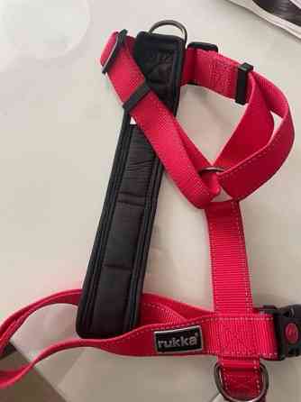 Punaiset rukan Y - valjaat Kuopio