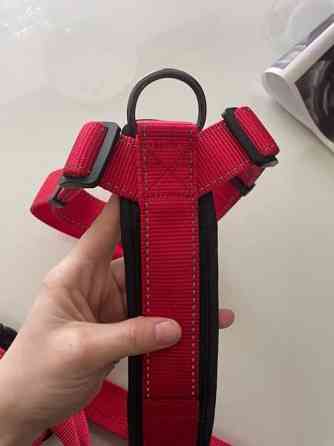 Punaiset rukan Y - valjaat Kuopio