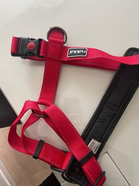 Punaiset rukan Y - valjaat Kuopio - valokuva 1