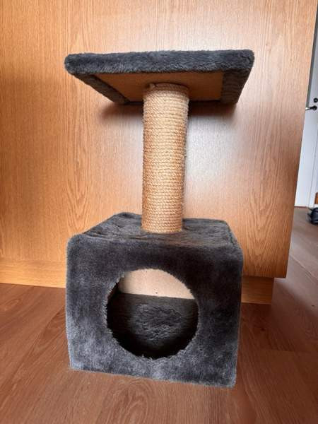 Kissan raapimispuu Kuopio - valokuva 1