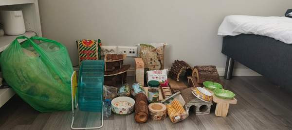 Terraario ja tarvikkeita ym Siilinjärvi - valokuva 2