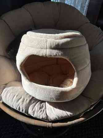 Uusi koiran/kissan peti Helsinki